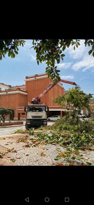 RECOGIDA PODA, ESCOMBROS, RESIDUOS INDUSTRIALES.