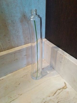 colonia flower by kenzo