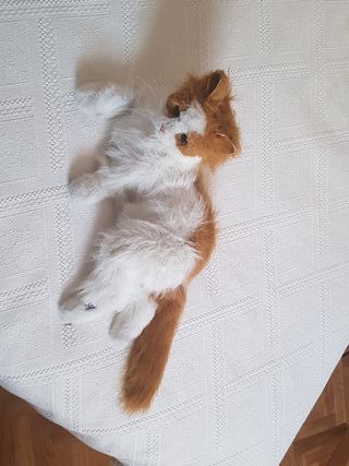 gato interactivo fur real