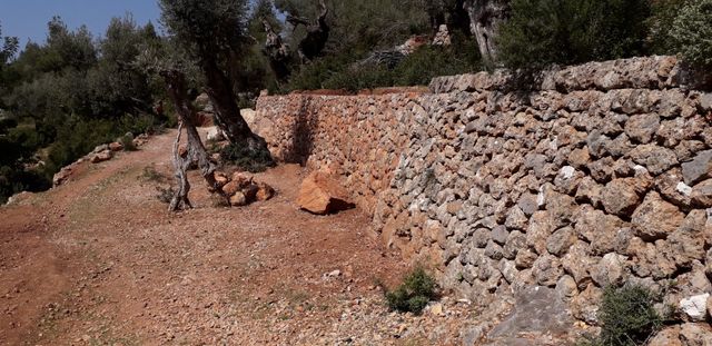 toda clase de trabajos en piedra, y cercados.