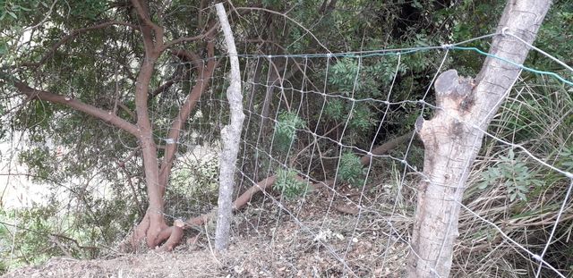 toda clase de trabajos en piedra, y cercados.