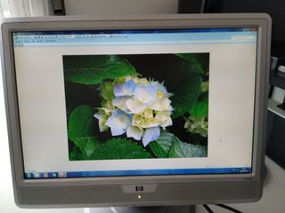 DRIVERS FOR HP W20 MONITOR