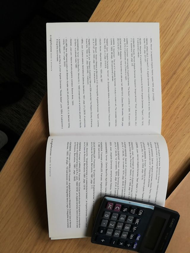Anglada Camarasa, desde la distancia