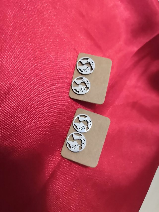 🌏Pendientes Acero