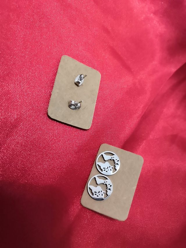 🌏Pendientes Acero