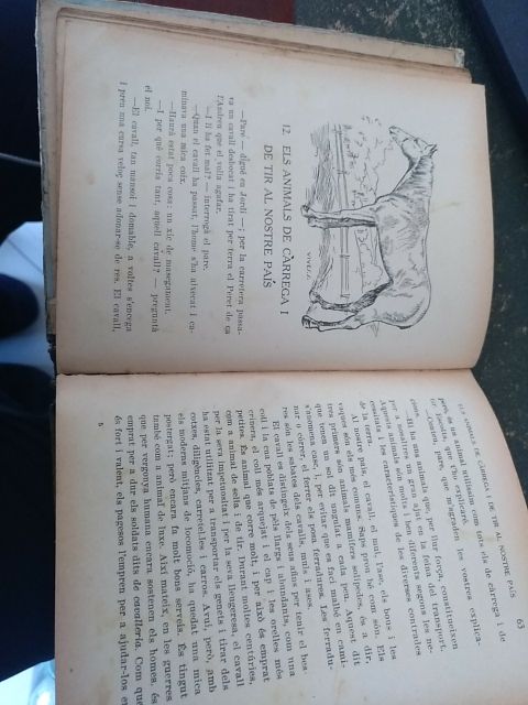 libro atiguo (animals amics de l'home)