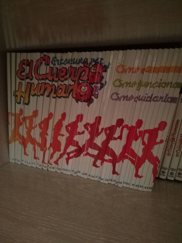 El cuerpo humano (2)