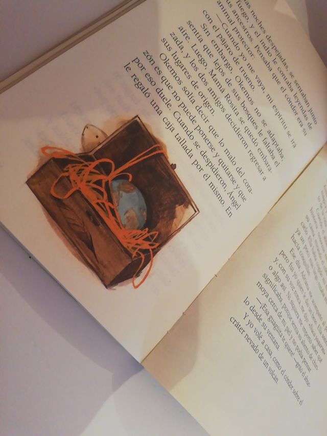 LIBRO UN CÓNDOR EN MADRID