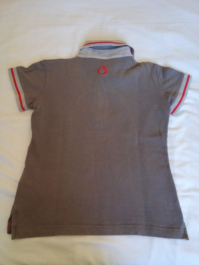 jersey polo ALINGHI