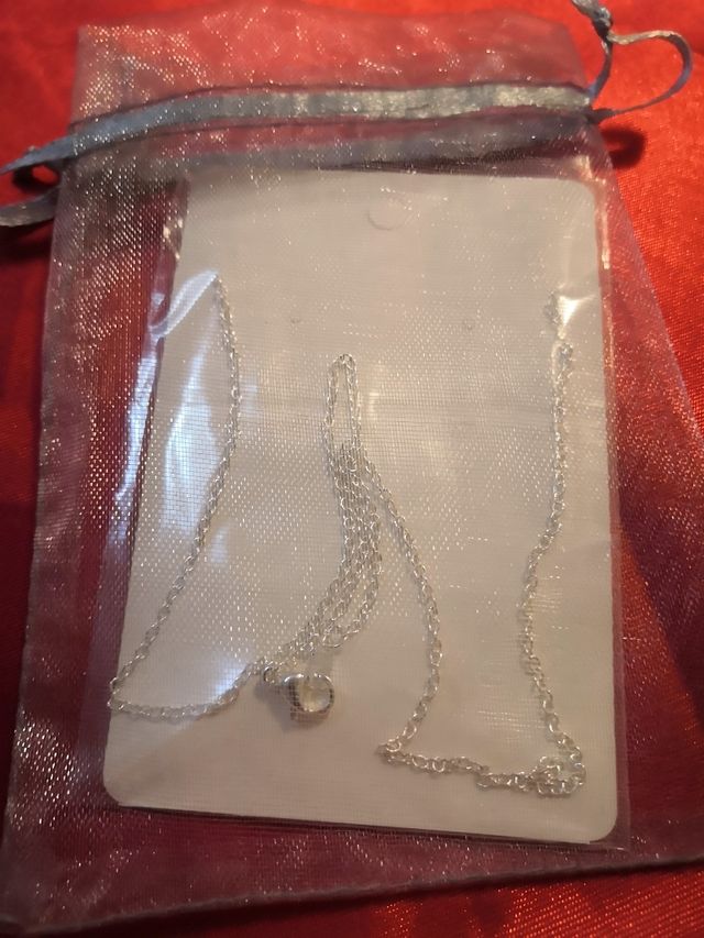 🌍Collar Mundo de Acero Inox.