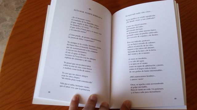 LIBRO EL MAR Y YO de FERMIN MARIA