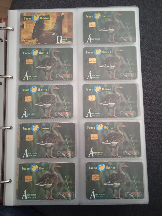 tarjetas telefonicas