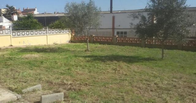 se desbrozan parcelas/terrenos