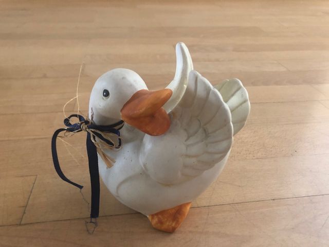 Huchas en forma de pato