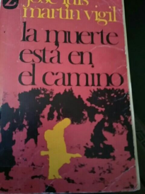 La muerte está en el camino. J. L. Martín Vigil