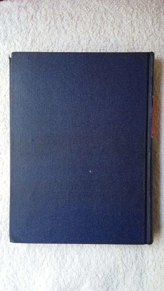 La ascensión de Stalin. Ch. Windecke