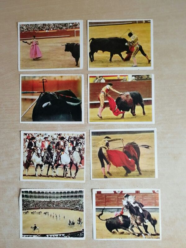 TAUROMIA TASCABILE 35 - Pedro Domecq -