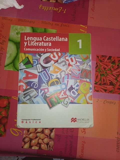 lengua castellana y literatura 1