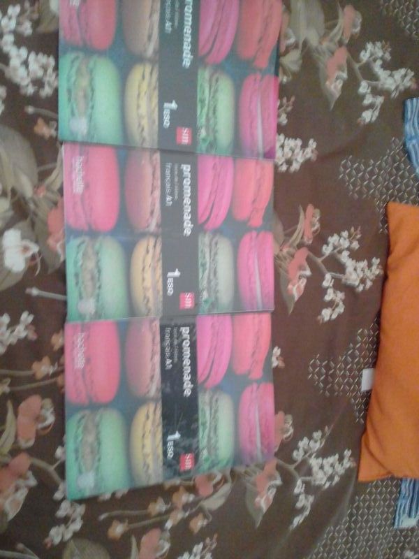 3 UNIDADES  del libro de frances