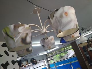 Mueble cocina de en de de provincia segunda la mano 2IE9DH