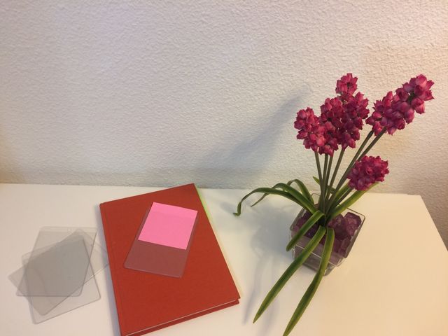 Lote Funda Portadocumentos 11x8cm