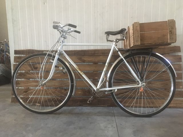Bicicleta varillas clasica 250 EUROS