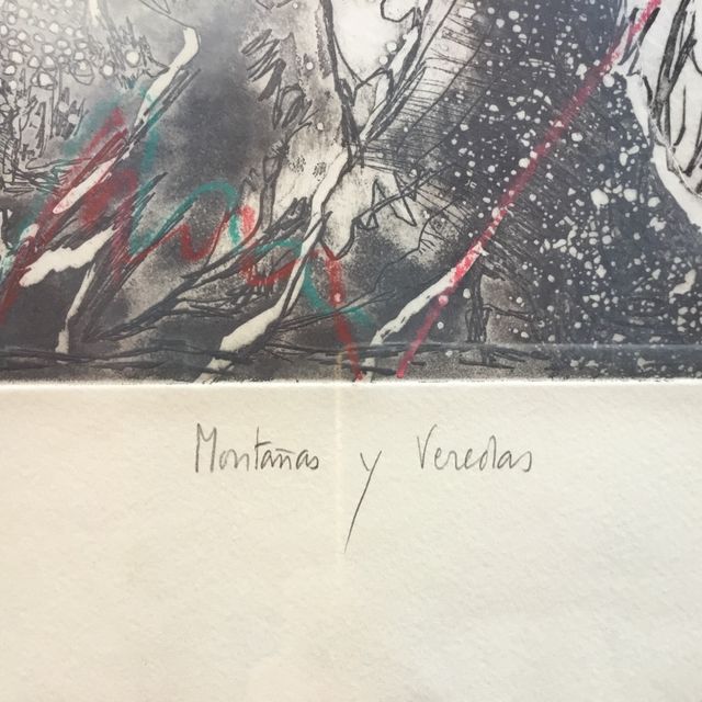 Grabado Chari de Goyeneche, MontaÃ±as y Veredas