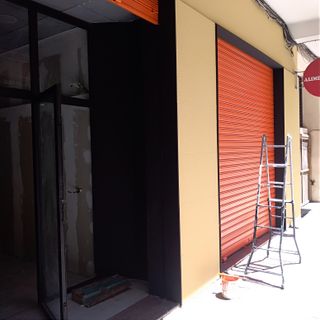 Pintor profesional económico