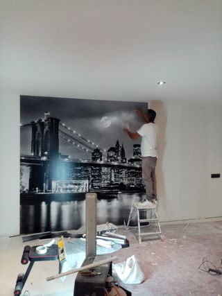 Pintor profesional económico