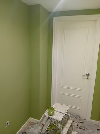 Pintor profesional económico