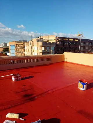 Pintor profesional económico