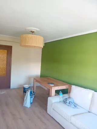 Pintor profesional económico