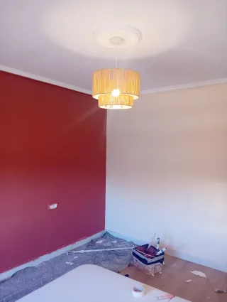 Pintor profesional económico