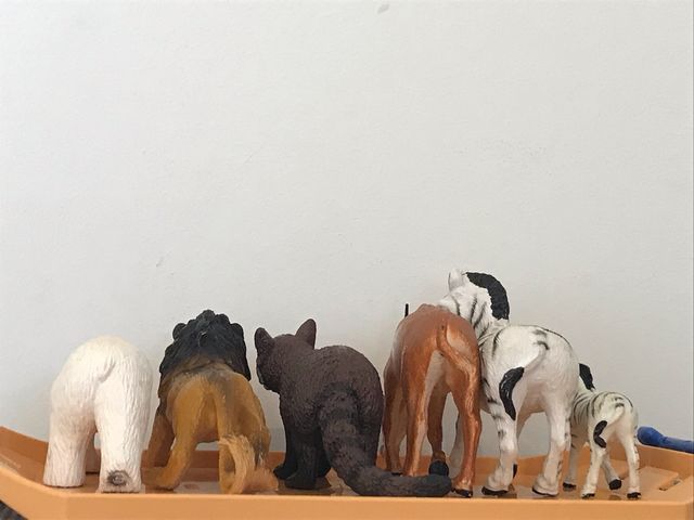 Animales figuras.