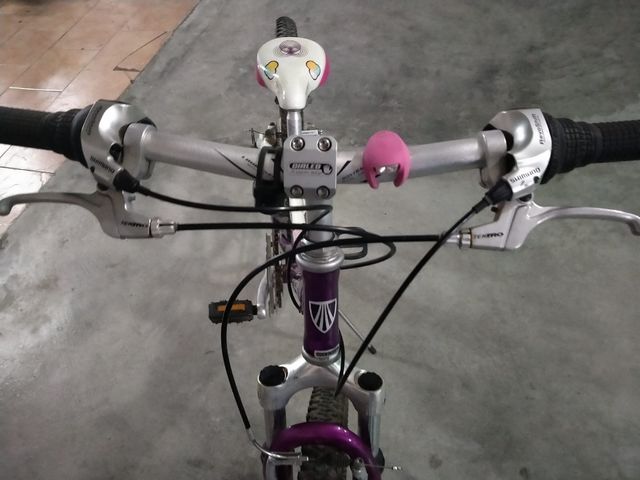Bicicleta Junior