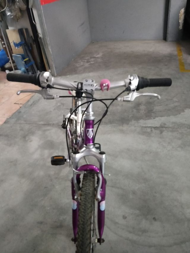 Bicicleta Junior