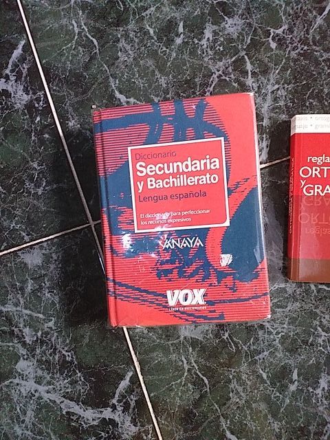 Diccionario Vox secundaria y bachillerato