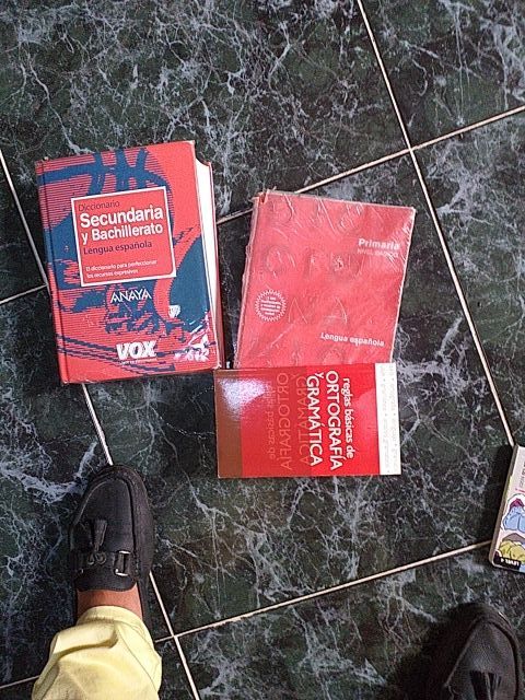 Diccionario Vox secundaria y bachillerato