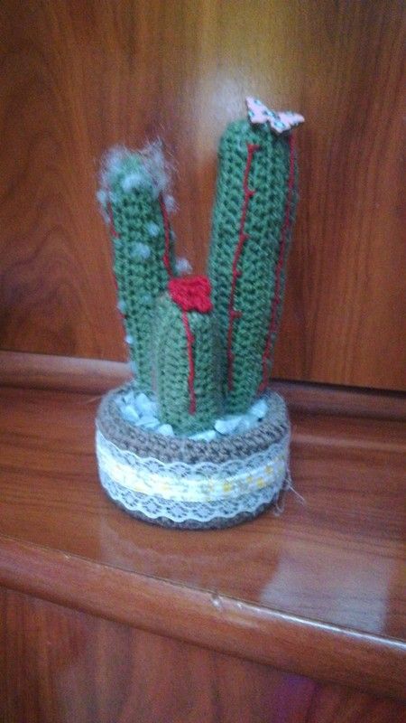 Cactus ganchillo