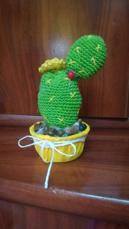 Cactus ganchillo