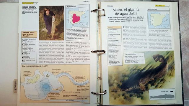 GUIA PRACTICA DE LA PESCA - COLECCION COMPLETA