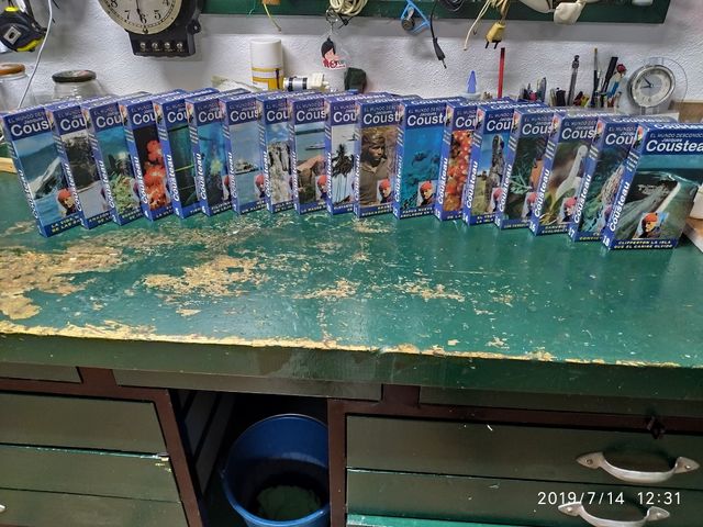 colección de videos del Mundo marino