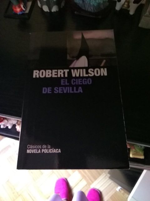 Libro "el ciego de Sevilla"
