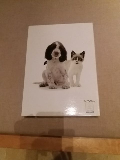 Caja de cartón decorada sábanas Bassetti.