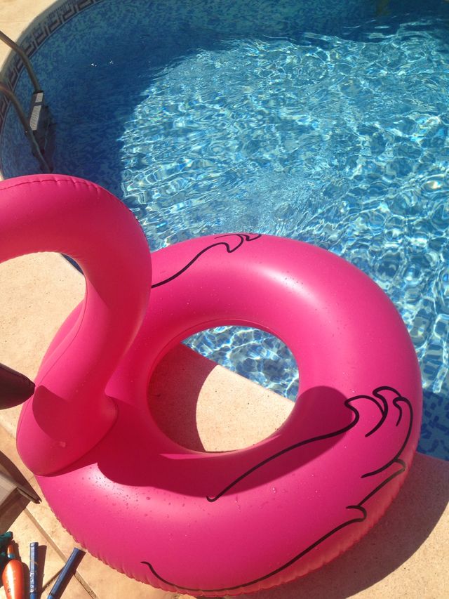 Galleggiante gigante da flamenco rosa per 2/3 persone