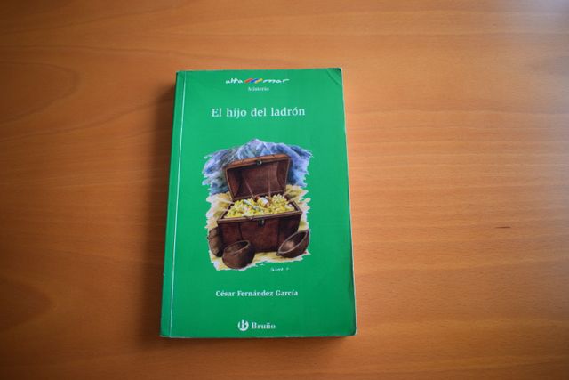 Libro El hijo del ladrón