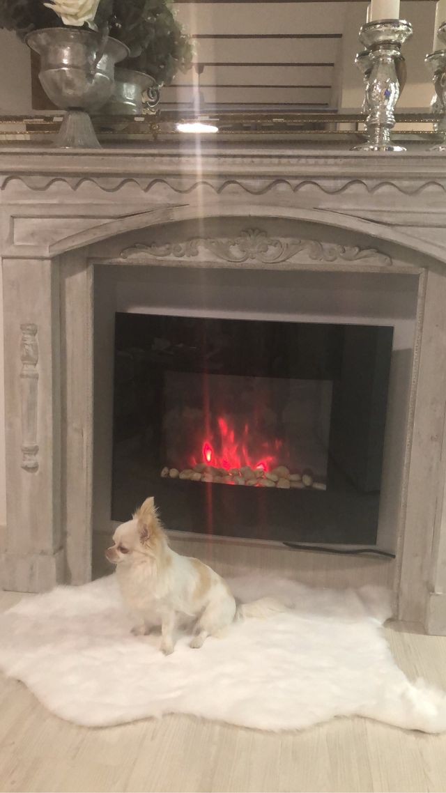 Chimenea eléctrica y estante decorativo de segunda mano por 200 € en