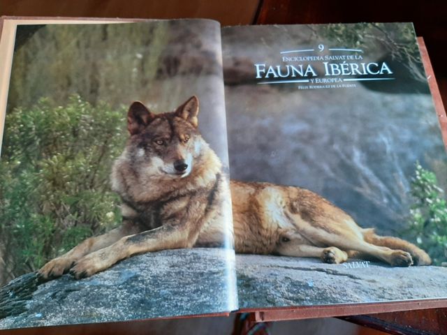 Enciclopedia VHS+libros Félix Rdrgz de la Fuente
