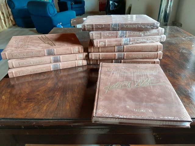 Enciclopedia VHS+libros Félix Rdrgz de la Fuente