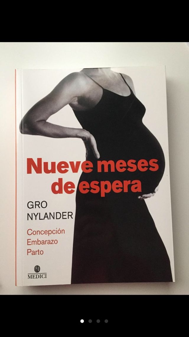 Nueve meses de espera. Embarazo